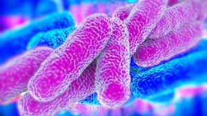 Un muerto y 19 casos confirmados de una peligrosa bacteria en Nueva York