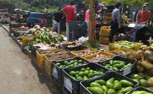 Nuevo precio del diésel pone “cuesta arriba” la distribución de hortalizas y frutas en el país