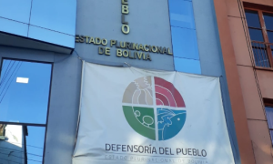 Confirmaron violaciones grupales a niños en Bolivia; uno contrajo VIH