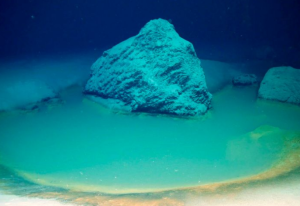 Piscina ultramortífera descubierta en el fondo del océano mata a todo lo que nada en ella (FOTOS)
