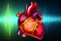 Alerta con estos síntomas que pueden advertir que sufres una enfermedad cardiovascular