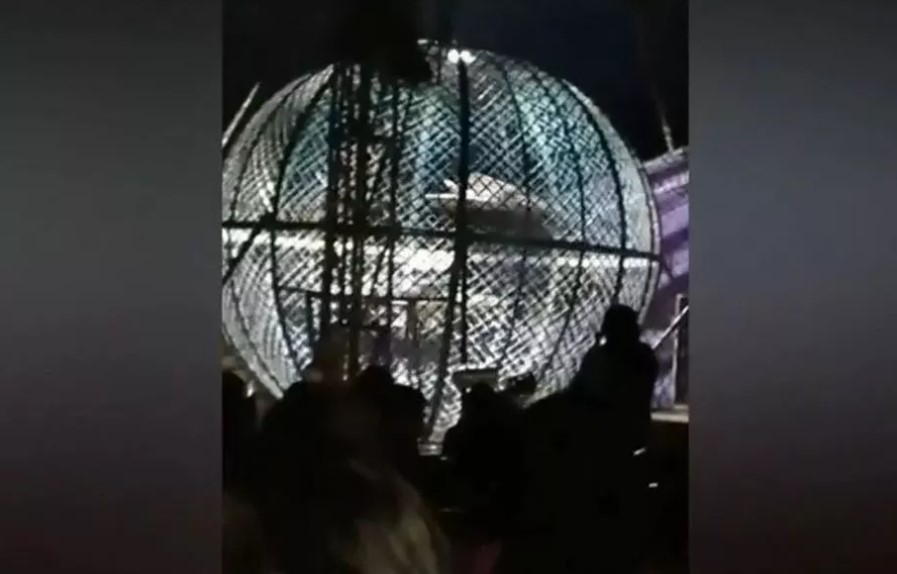 Impactante VIDEO: padre e hijo acróbatas chocaron dentro de un arriesgado “globo de la muerte”