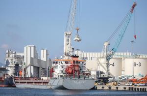 Dos nuevos buques con cereales navegan ya desde Ucrania hacia Estambul