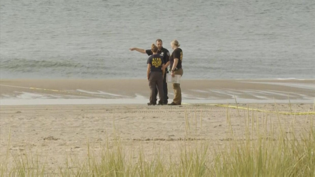 Lo que reveló la autopsia de los tres niños ahogados en playa de Nueva York