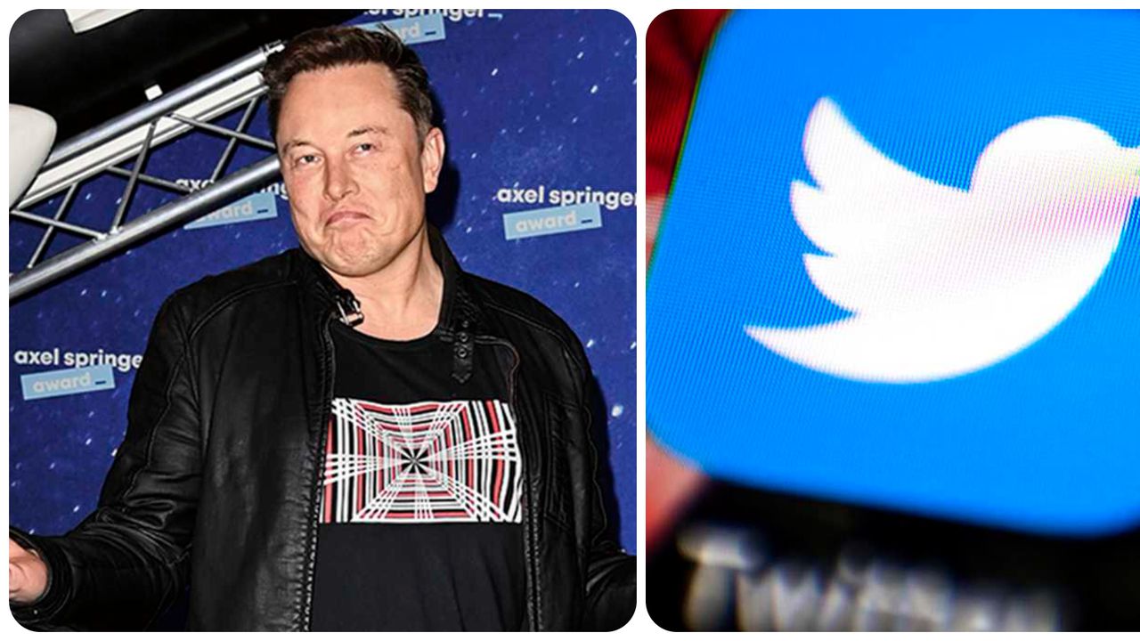 “El pájaro fue liberado”, escribió Elon Musk en Twitter… pero de los MEMES nadie se libra