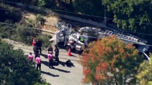 Terrorífico accidente: podador de árboles murió al caer en una trituradora de madera