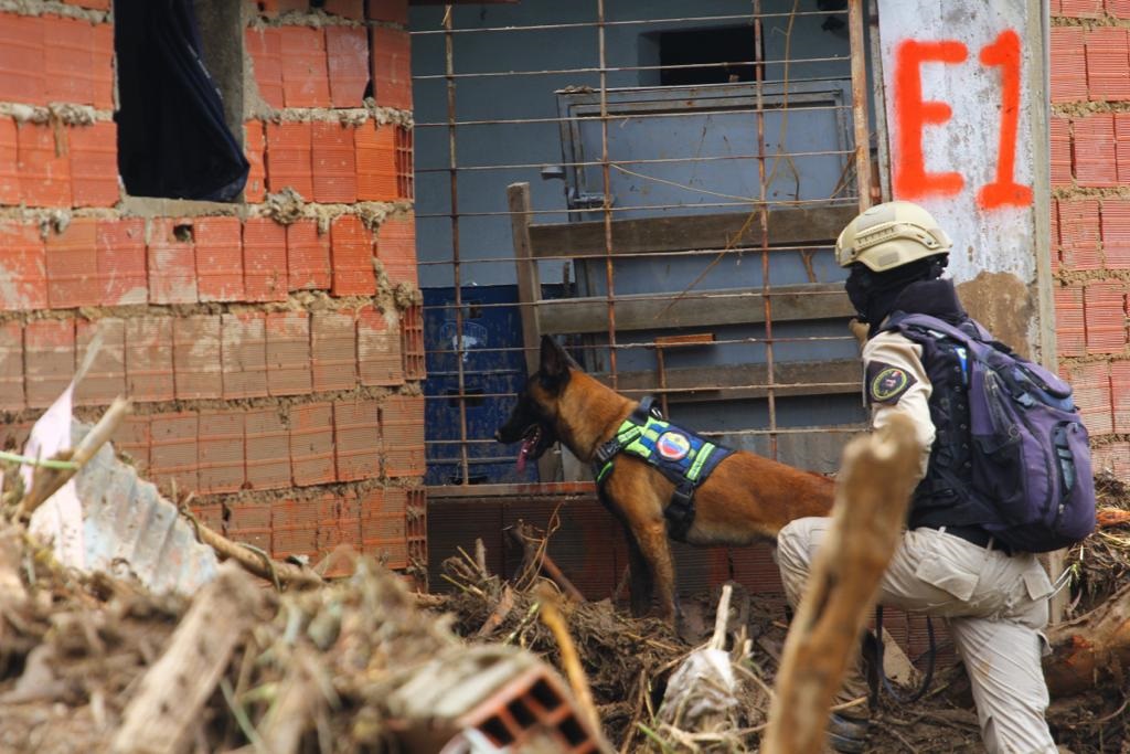¡Son héroes! Unidad canina rescató a cinco personas con vida en Las Tejerías