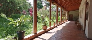 La Hacienda Paramillo, uno de los patrimonios más antiguos de Táchira que guarda secretos de las primeras civilizaciones