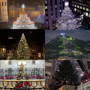 Cuáles son los cinco árboles de Navidad más raros y exóticos del mundo