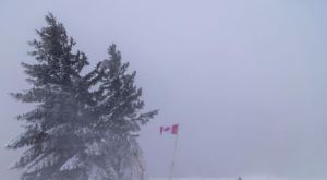 Ola de frío polar extremo congela Canadá con temperaturas de -30º