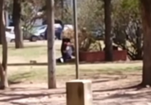 Parejita atrevida fue captada teniendo sexo en un parque de Argentina (Video)