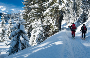 Localizan sin vida a los dos esquiadores desaparecidos en avalancha en Japón