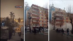 EN VIDEO: El extraño comportamiento de las aves instantes previos al terremoto en Turquía