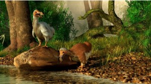 Qué es el dodo: el ave a la que una empresa millonaria planea resucitar