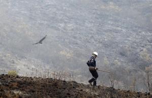 Colombia, en Alerta ante la llegada de “El Niño”: aumenta el riesgo de incendios forestales