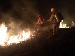 Al menos 40 hectáreas del Parque Nacional Chorro del Indio fueron arrasadas por incendio