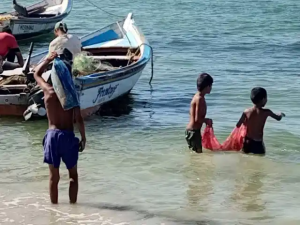 OVV warns of the risk for children and adolescents from Margarita and Coche who leave the classroom to dedicate themselves to fishing