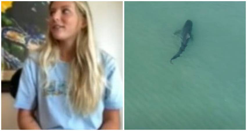 Niña de 13 años golpea a un tiburón en la cara para escapar de ataque en una playa de Florida