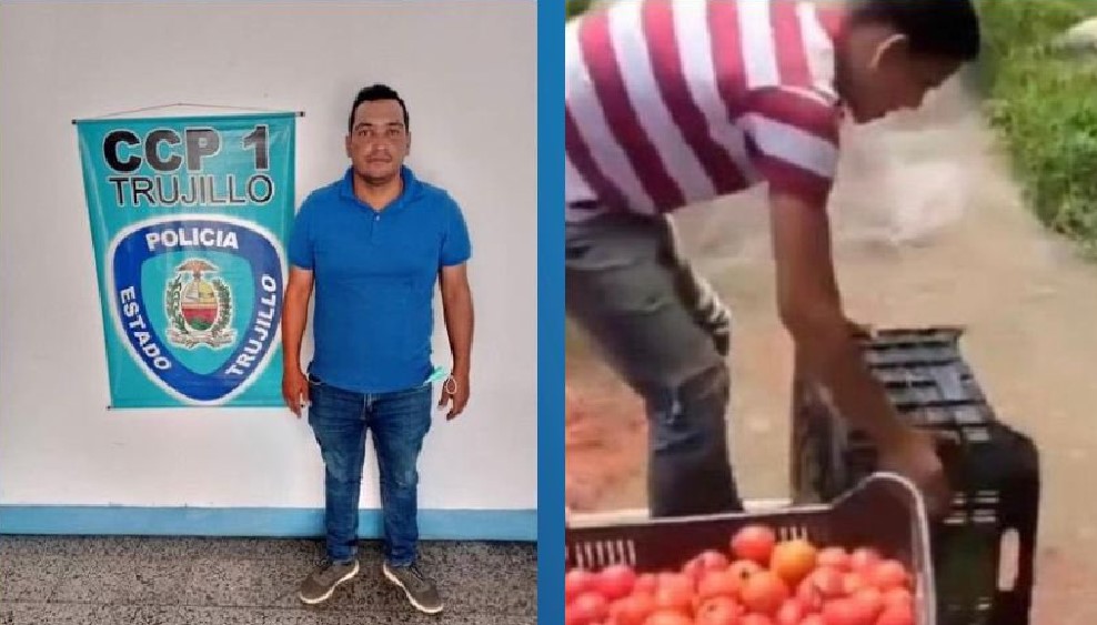 Detenido agricultor en el estado Trujillo por tirar tomates en un río