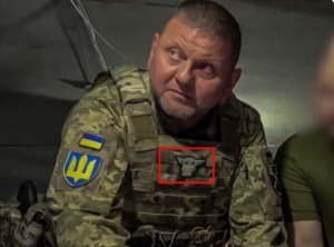 Un “Baby Yoda” vuelve viral al comandante en jefe del ejército ucraniano (Fotos)