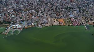 La contaminación pinta de verde el principal lago de Venezuela (Fotos)