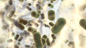 Reducción del consumo de antibióticos disminuye resistencia bacteriana, según un nuevo informe