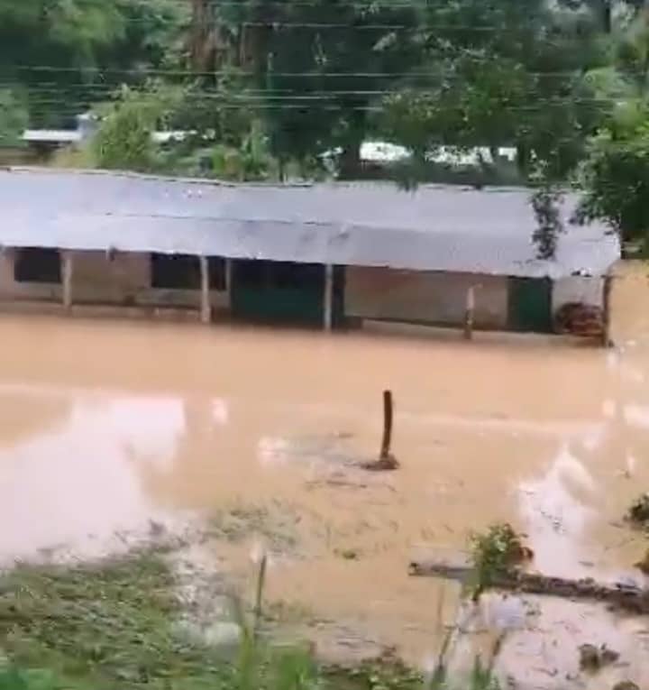 Desbordamiento del río Quiú en Barinas inundó campos y viviendas