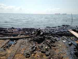 Especialistas ambientales de Países Bajos participan en la recuperación del Lago de Maracaibo