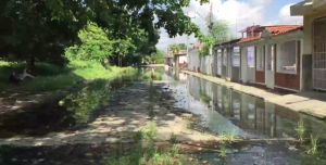 Vecinos de Parque Residencial Flor Amarilla en Valencia temen por su salud tras río de aguas negras