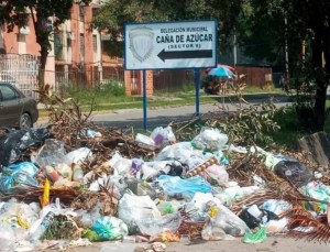 Amenaza de epidemia en Aragua por acumulación de basura en Caña de Azúcar