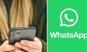 WhatsApp se suma a incluir IA en su plataforma: las nuevas funciones lo sorprenderán