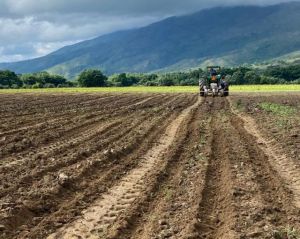 Falta de combustible retrasa preparación de tierras en Carabobo: “Actuamos o el campo se muere”