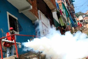 Alertan que brote de dengue en Caracas pasó a ser epidemia tras filtración de misiva chavista