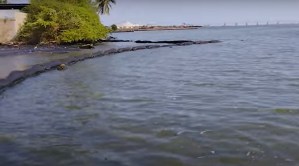 A los pescadores del Lago de Maracaibo les toca botar los peces porque “saben a gasoil”