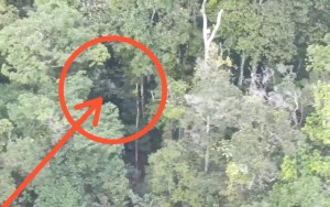 EN VIDEO: Así localizaron un avión siniestrado en medio de una densa vegetación en Bolívar