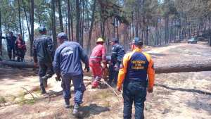 Incendios forestales en Carabobo han sido controlados en un 90 %, aseguró Protección Civil