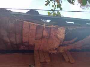 Al menos 90 familias en riesgo en la Ciudadela José Martí en Valencia: “Nuestros techos se están cayendo”