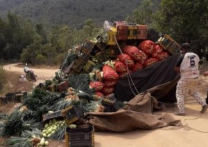 Lara: Paupérrima vialidad en Morán pone en riesgo la producción agrícola y la vida de los campesinos