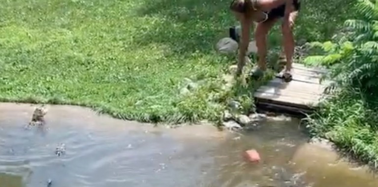 VIDEO: El momento en que mujer entró con su hijo en un estanque de cocodrilos en Minnesota para recuperar su billetera